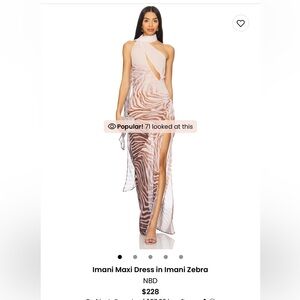 Imani Maxi Dress in Imani Zebra - NBD. Size XS. NWT